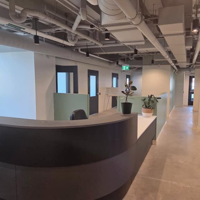 Empty reception desk with a curved dark counter, two potted plants and green partitions in a new building with exposed ceiling pipes.