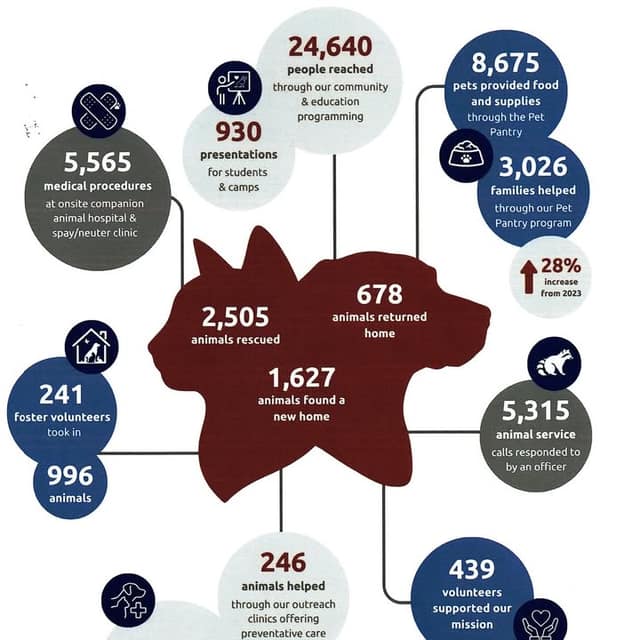 Infographic with a cat and dog silhouette showing animal statistics, including 2,505 animals rescued, 1,627 found new homes and 439 volunteers.