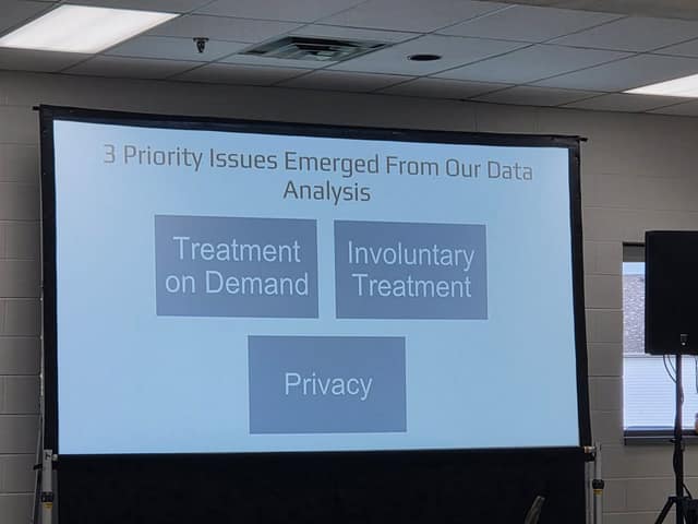 A projected slide titled "3 Priority Issues Emerged From Our Data Analysis" shows boxes: Treatment on Demand, Involuntary Treatment, Privacy.