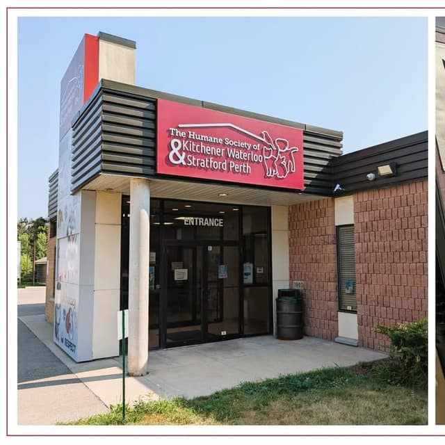 Entrance of the Humane Society of Kitchener Waterloo & Stratford Perth, with a red sign above glass doors and a brick wall.