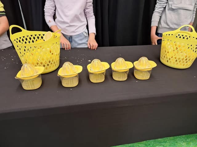 Five glass juicers with lemon juice in measuring cups sit in a row on a black table beside two yellow baskets of lemons.