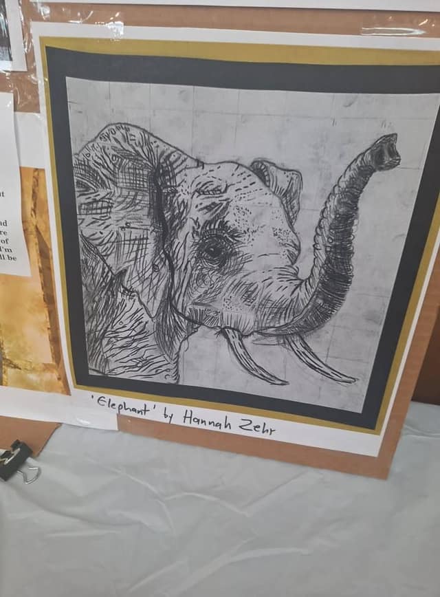 Charcoal drawing of an elephant with raised trunk and tusks, labeled "Elephant" by Hannah Zehr, mounted on a display board.