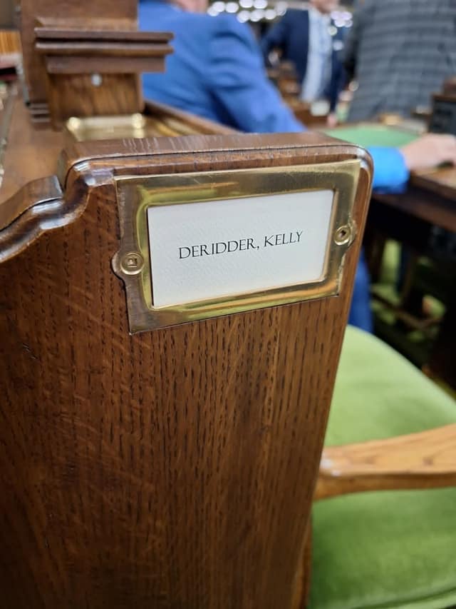 Brass nameplate on a wooden desk in the House of Commons reading "DeRidder, Kelly", with a green chair and blurred people behind it.