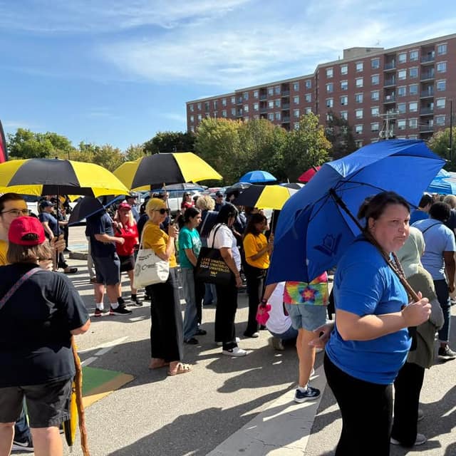 Walkers gather in a parking lot holding yellow-and-black and blue umbrellas, with a brick apartment building in the background.