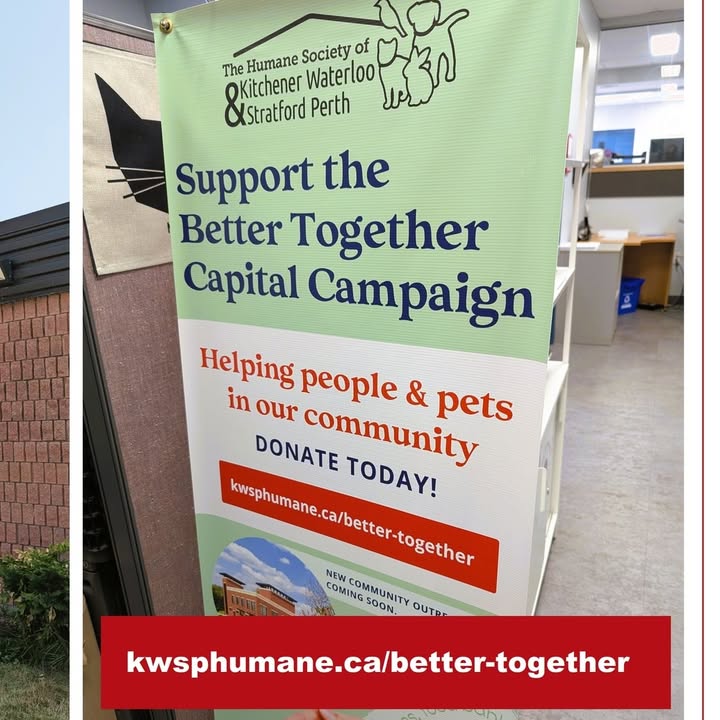 🐾 Better Together for Animals in Need 🐾 On August 14, I had the pleasure of touring the Humane Society of Kitchener Waterloo & Stratford Perth at their…